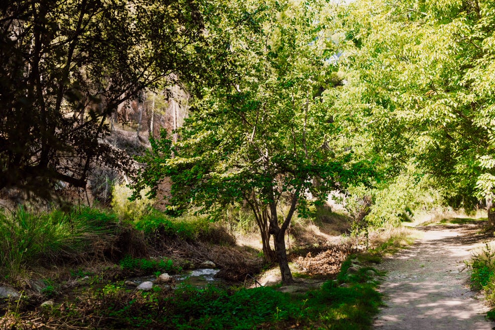 galeria-ruta-zanzalar (2)