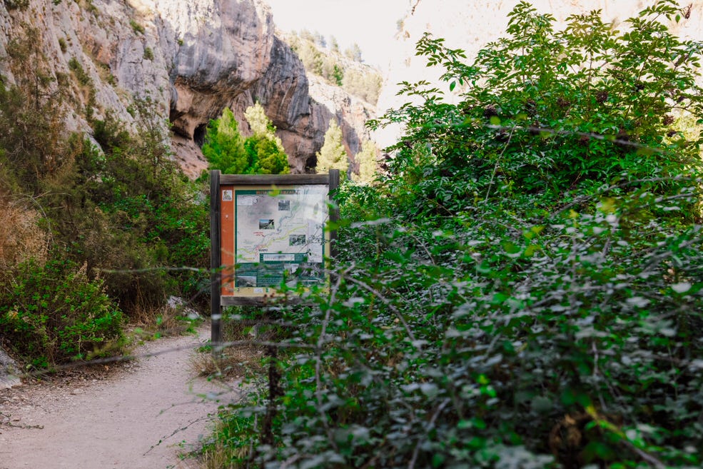 galeria-ruta-zanzalar (4)